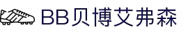 中国·BB贝博艾弗森(股份)有限公司-官方网站